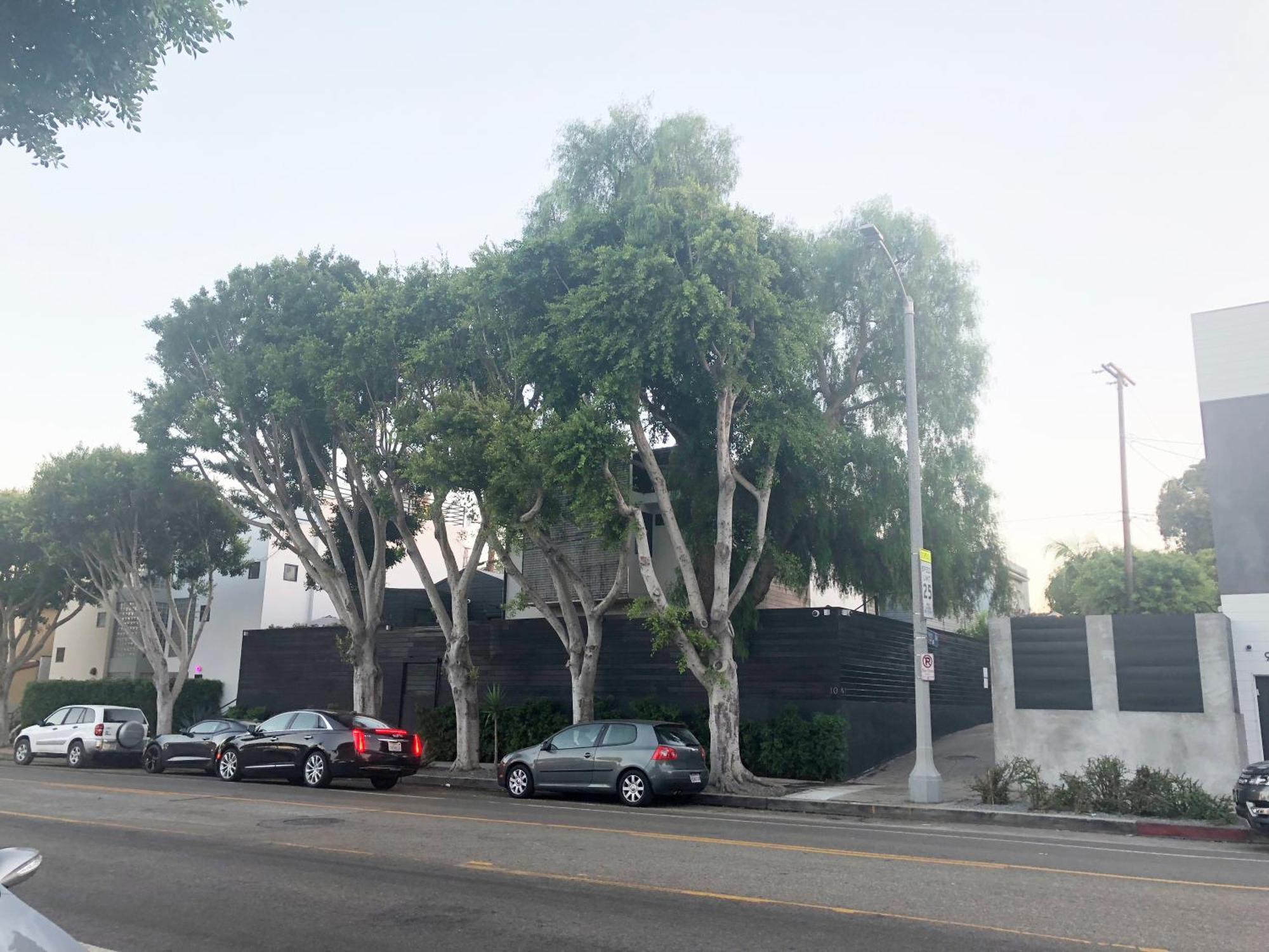 Venice Beach Studio With Large Private Patio Steps To The Beach 로스앤젤레스 외부 사진