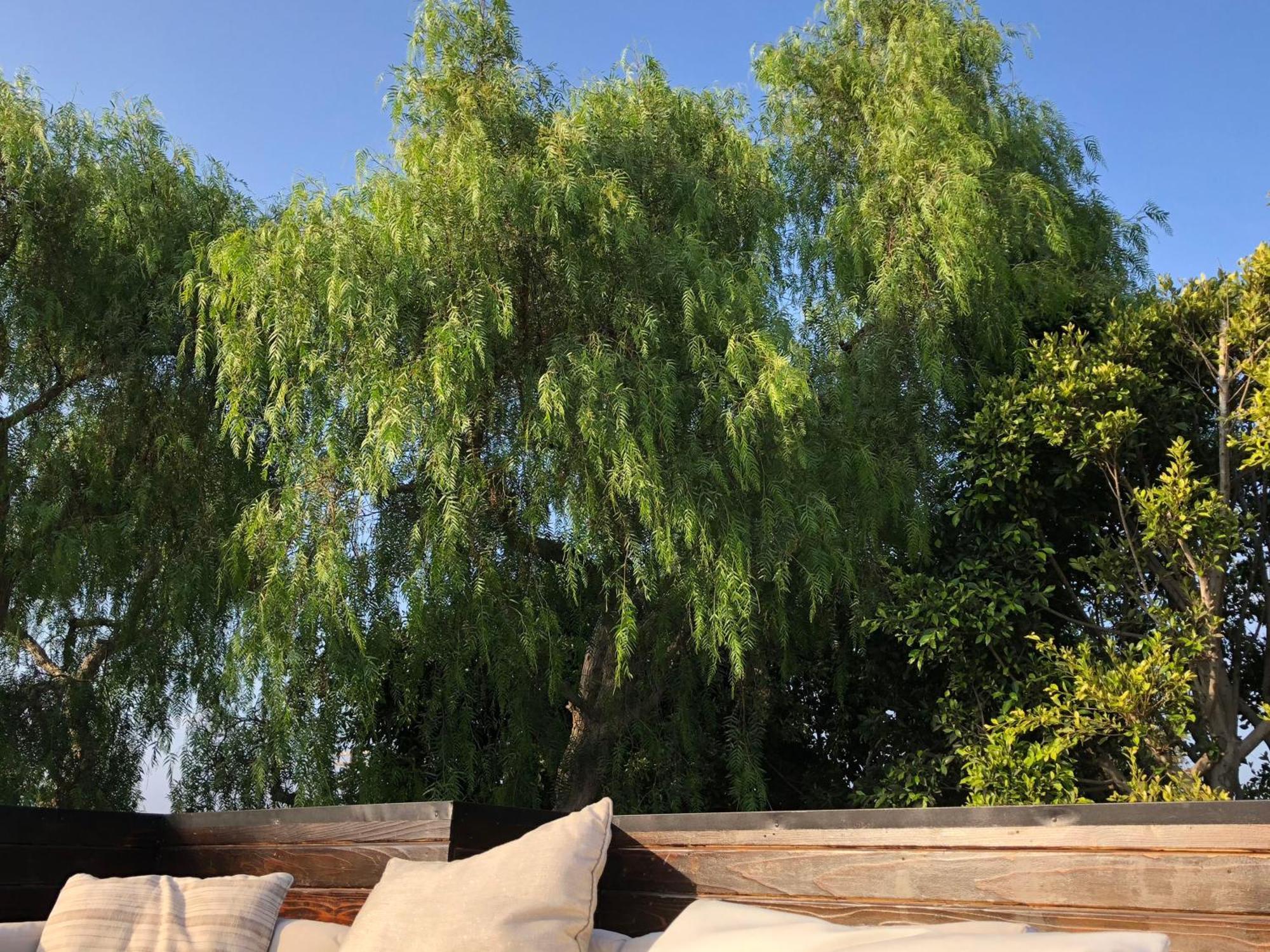 Venice Beach Studio With Large Private Patio Steps To The Beach 로스앤젤레스 외부 사진