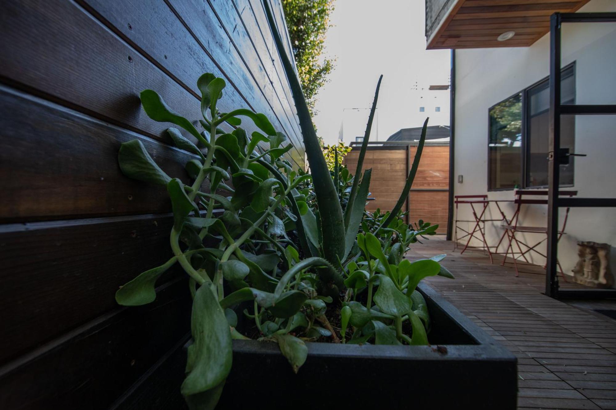 Venice Beach Studio With Large Private Patio Steps To The Beach 로스앤젤레스 외부 사진